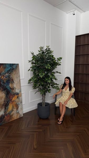Плетений фікус в декоративному горщику 190 см 0302 фото