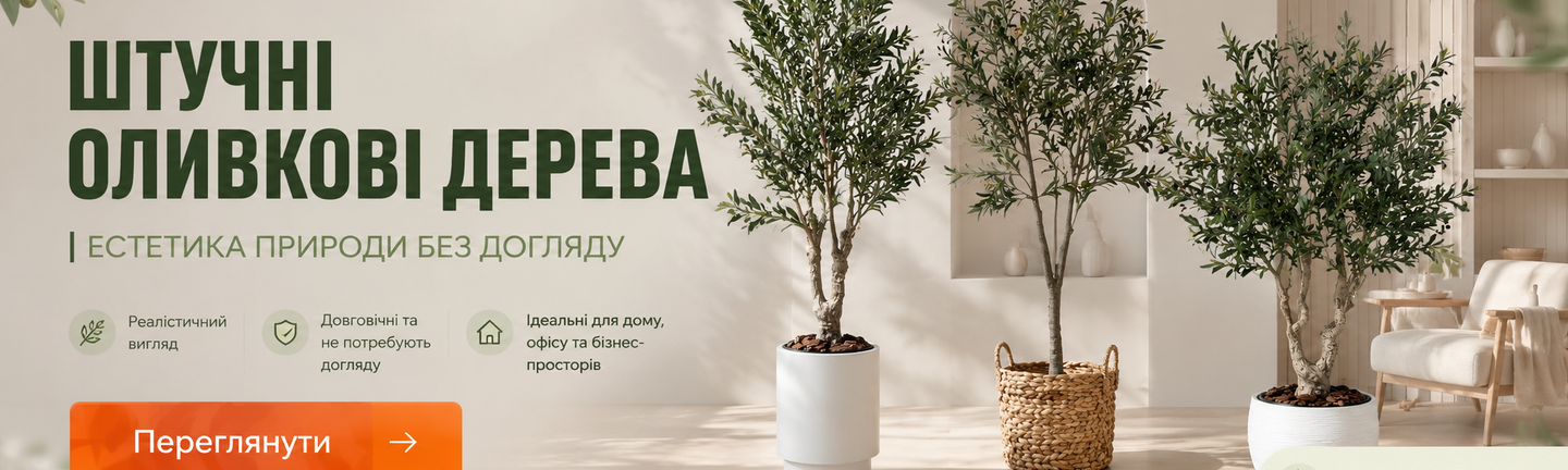 Оливки
